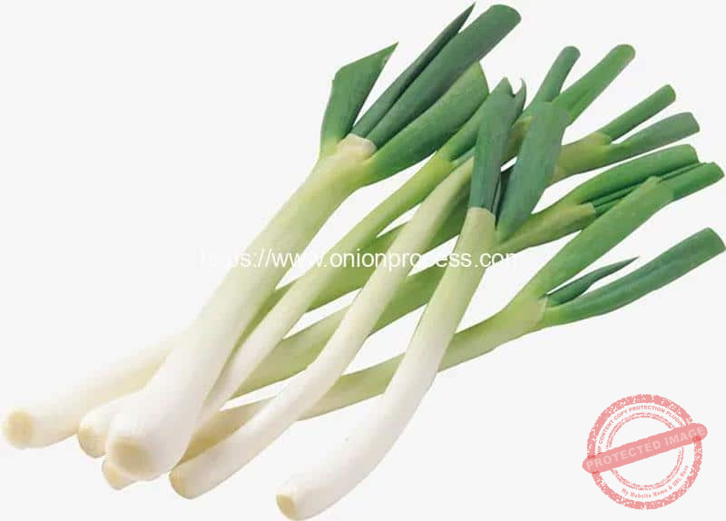 Full-Automatic-Green-Onion-Peeling-and-Root-Cutting-Machine